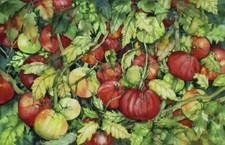 Ceramic Backsplash Tile Mural Fruit Vegetable Food Kitchen/Bathroom - Tomatoes 3