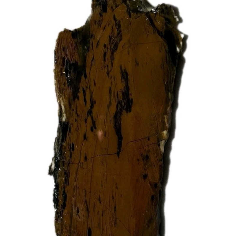NEVADA HOWARDITE aka RATTLESNAKE JASPER SLAB ~ 65 grams / rough agate cab rock