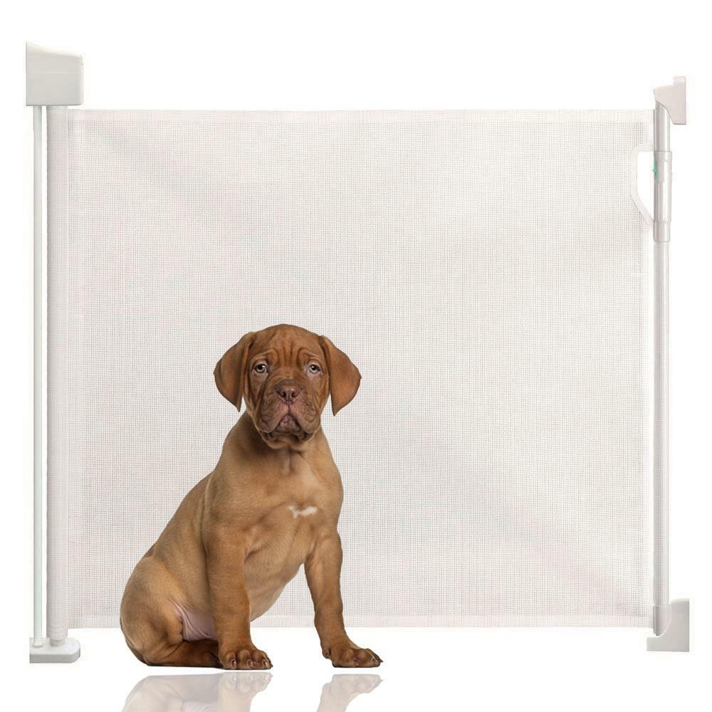 What Is The Best Retractable Dog Gate