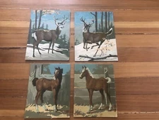 White Tail Deer Horse Colts Barn Paint-By-Number Craft Master 1960s