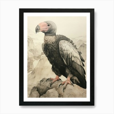 Vintage Vogel Zeichnung California Con gerahmtes Wandbild Poster Leinwanddruck Bild