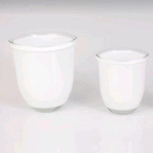 Juego de jarrón de vidrio opalino blanco de doble pared Pottery Barn candelabro maceta para orquídeas Foto 2 de 4