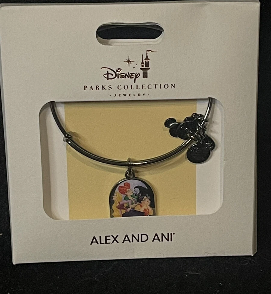 Alex and ani hotsell hocus pocus bracelet