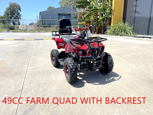 49CC FARM QUAD BIKE ATV BUGGY KIDS 4 WHEELER POCKET PIT DIRT BIKE  MJMOTOR RED