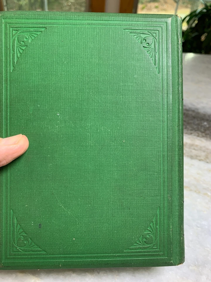Antique Ornate Embossed Gilded Victorian Kids Kid's Book WHAT TOMMY DID 1876 - Image 3 of 4