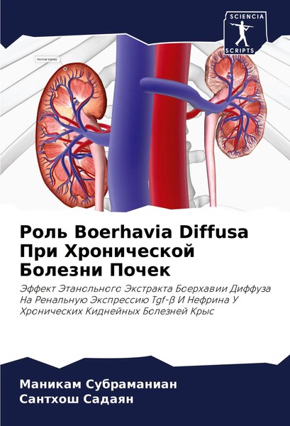 Rol' Boerhavia Diffusa Pri Hronicheskoj Bolezni Pochek Subramanian (U. A.) Buch-image
