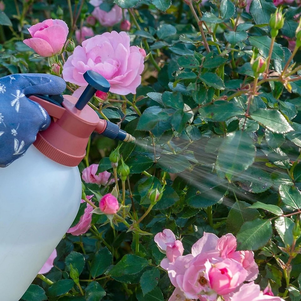 Rose Clear Ultra Concentrate Plant Container Bug Insect Killer 200ml ...
