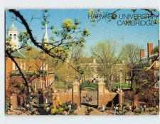 Postcard Harvard University Cambridge Massachusetts USA