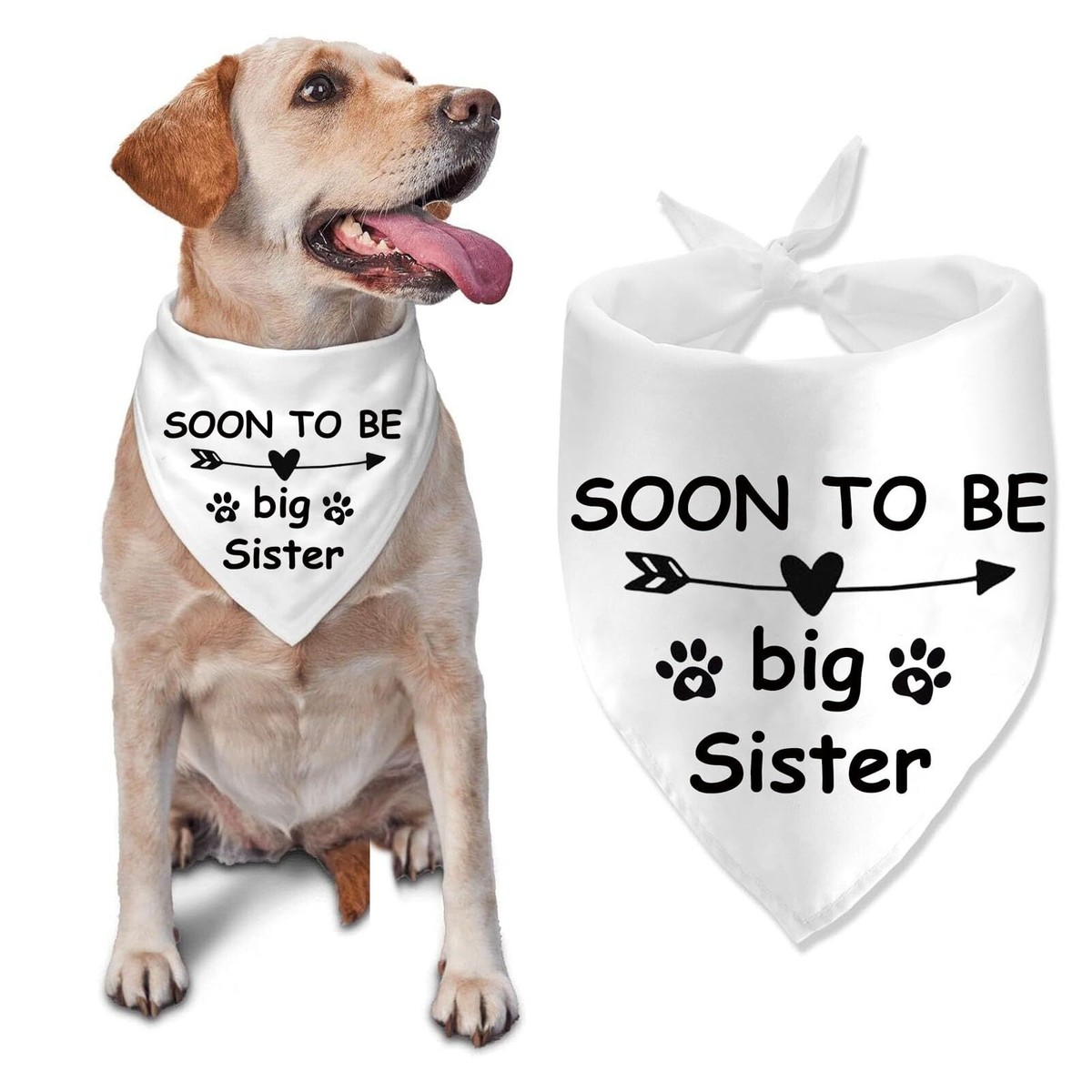 Soon to be Big Sister Dog Bandana Baby Announcement Dog Bandana Gender 