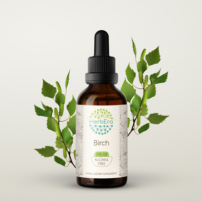 HerbEra Birch Alcohol-FREE Tincture, Organic Birch (Betula Pendula)