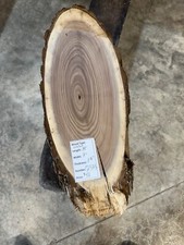Black Walnut Cookie Slab 2373, live edge slab, unfinished, free shipping