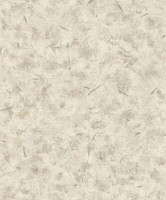 Tapete Vlies Rasch Andy Wand Uni Putz Patina Grau 649703 (3,22€/1Qm)