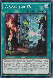 A Case for K9 JUSH-EN040 Super Rare 1st Edition Justice Hunters