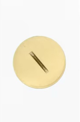 Replacement Screw Cap with O-Ring for Duplex Outlet Floor Box, Brass 25249-CAP