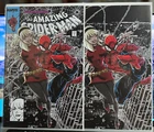 AMAZING SPIDER-MAN #30 UNKNOWN COMICS KAARE ANDREWS TRADE/ VIRGIN VARIANT