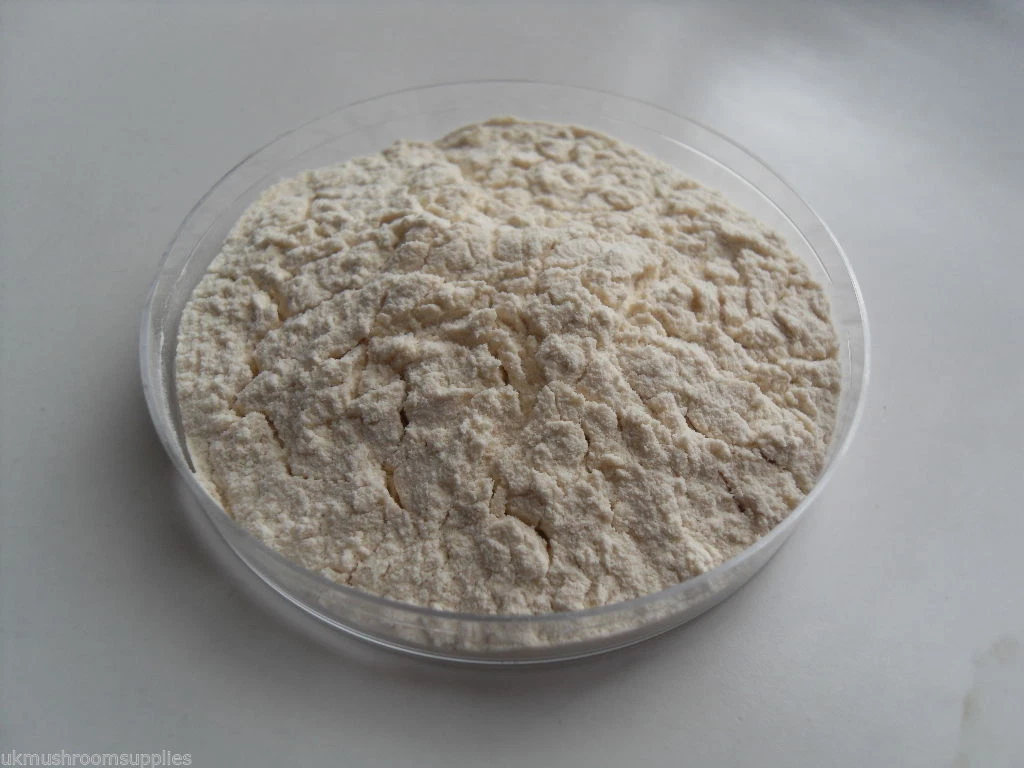 Carolina Cornmeal-Dextrose-Peptone Agar, Prepared Media, 60% OFF