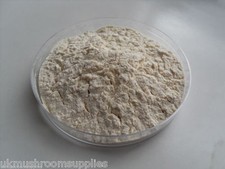 Soy Peptone Powder - Nutrient Rich Agar Additive For Mushroom Growing & Mycology