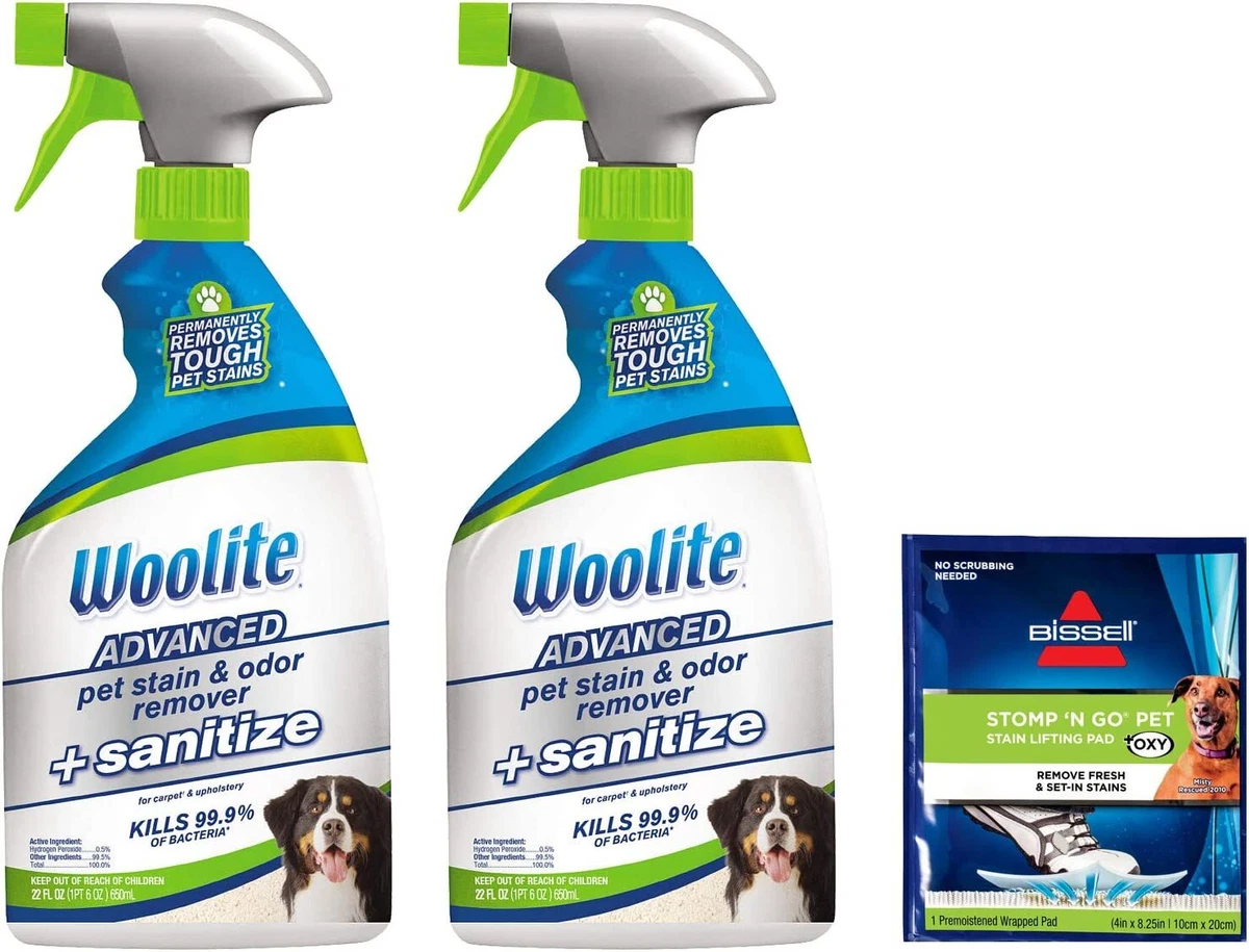 Woolite INSTAclean Pet Spot Remover Liquid 32oz In The