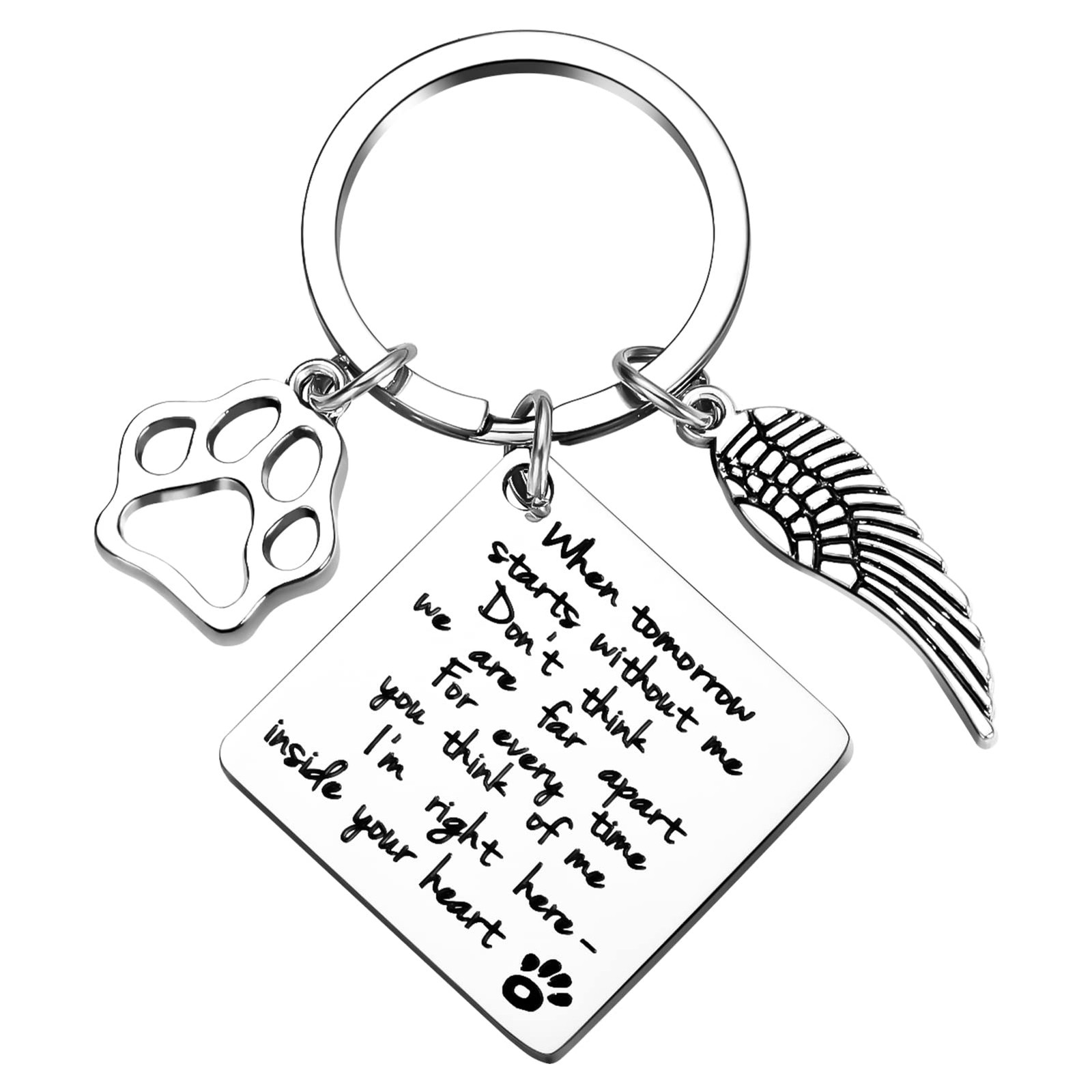 Cerolopy Loss of Pet Keychain, Memorial Keyring Angel with One Size, Silver