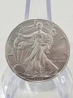2020 American Silver Eagle 1 Troy Oz .999 Fine Silver