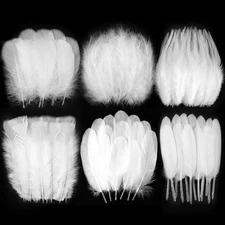 Larryhot White Craft Feathers Bulk - 240pcs 6 Style Mixed Natural Feathers for