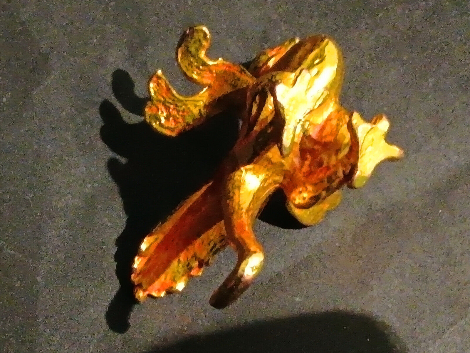 Picture 10 of 10