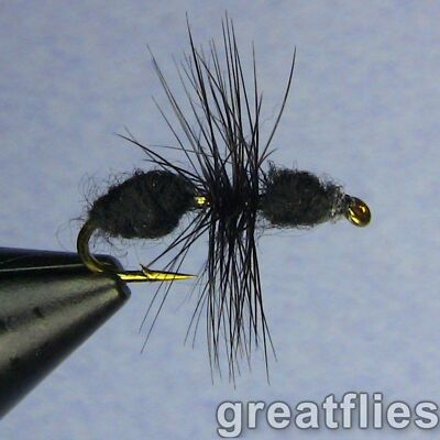 #ad 1 dozen 12 Black Ant $8.30
