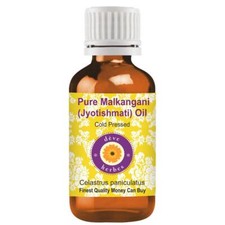 Pure Malkangani Jyotishmati Oil Celastrus paniculatus Cold Pressed 100ml
