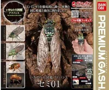 The Diversity of Life on Earth Advance Cicada 01 Figure Bandai Premium Gashapon