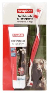 beaphar toothbrush and toothpaste kit