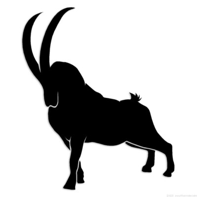 Bighorn Sheep Goat - Decal Sticker - Multiple Colors & Sizes - ebn6468