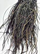STRUNG PEACOCK HERL - Fly Tying Feathers - 6-8 In. Long - BLACK - NEW!