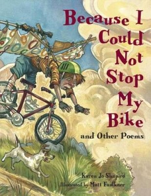 Because I Could Not Stop My Bike - Hardcover By Shapiro, Karen Jo - GOOD