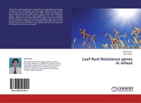 Leaf Rust Resistance Genes In Wheat Rab Nawaz