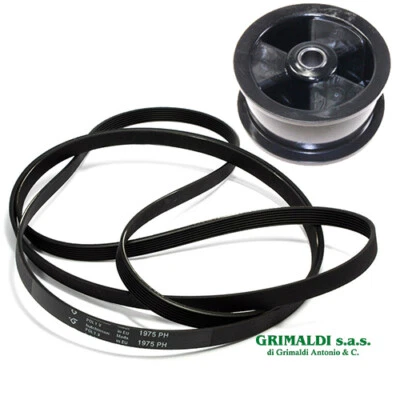 TENDICINGHIA + CINGHIA 1975H7 ASCIUGATRICE ELECTROLUX 1250125034 + 1258288107