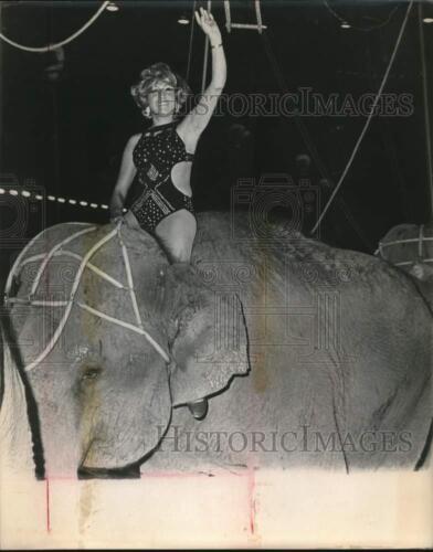 1972 Press Photo A lady rides an elephant at Alzafar Shrine Circus - sax30537 - Afbeelding 1 van 4
