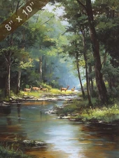 Herd of deer crossing creek near wooded Arkansas campsite 8x10 Matte Print