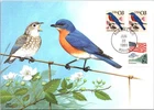 Dr Jim Stamps 3C Eastern Bluebird Pair First Day Issue Maximum Card