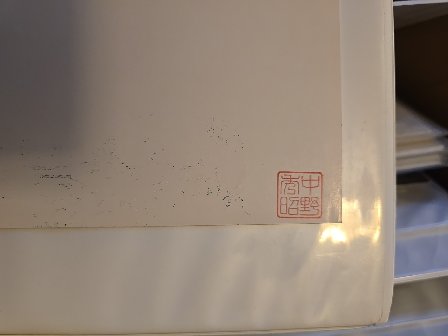 Rare: Moving DUCKS #249 1985 Limited Edition Cache cover by Hideaki Nakano