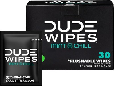 DUDE Wipes - On-The-Go Flushable Wipes - 1 Pack, 30 Wipes - Mint Chill Extra