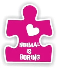 Child with Autism Normal decal sticker autistic awareness vehicle bumper car mom