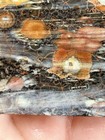 Orbicular Galaxy Rhyolite. Colorful. Nice! — photo 4