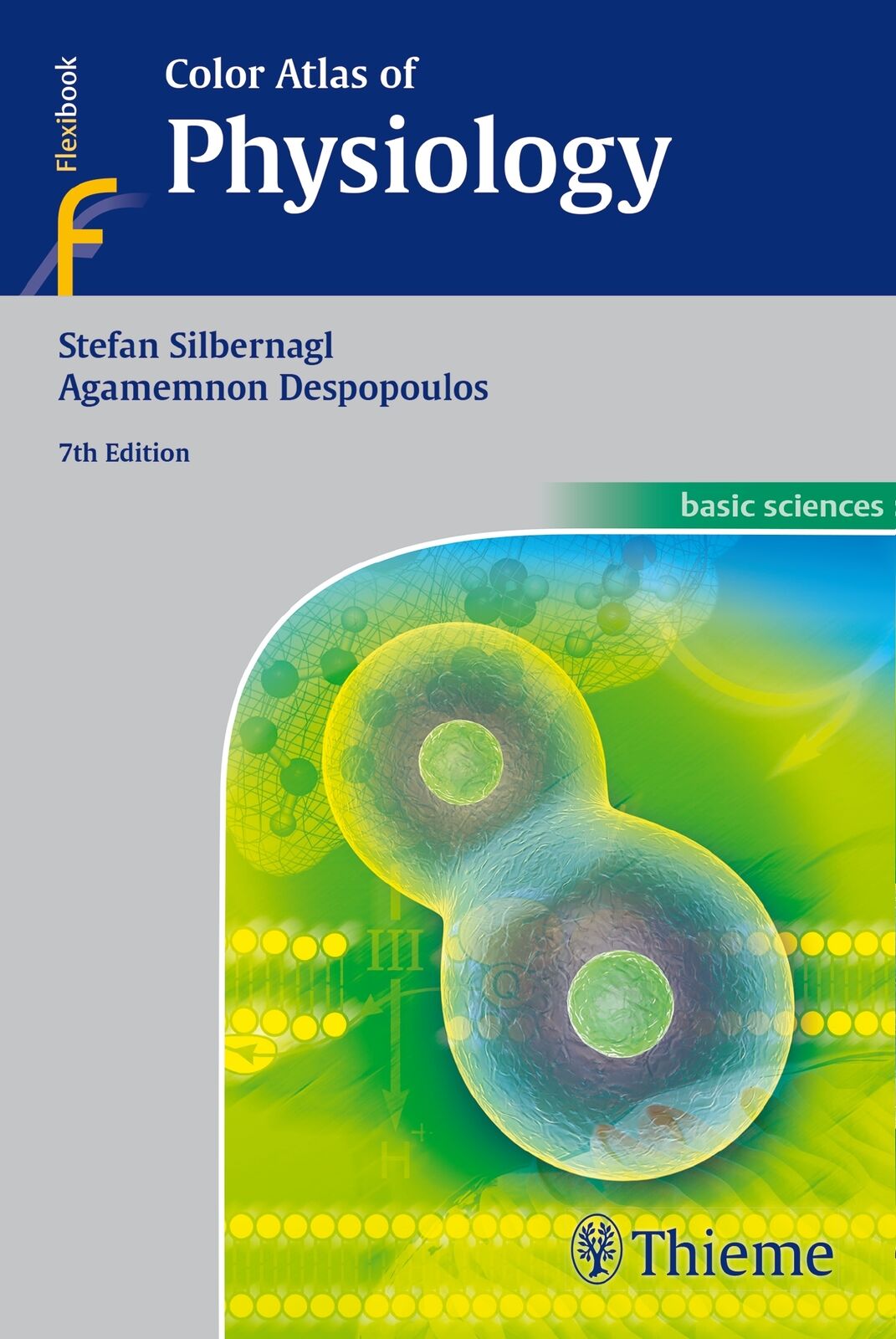 Thumbnail - Stefan Silbernagl; Agamemnon Despopoulos Jr. / Color Atlas Of