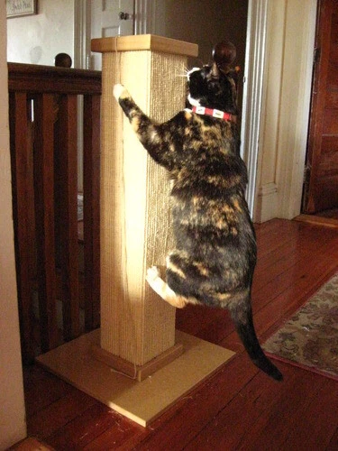 Smart Cat Heavy Duty Tall Sisal Scratch Pole - SmartCat Ultimate Scratching Post - Image 2 of 4