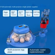 Incubator Small Home Mini Hatching Machine Intelligent Automatic Incubator Egg