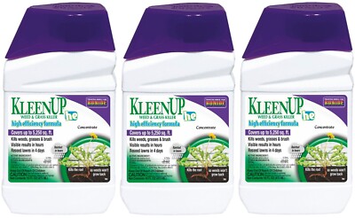 Bonide 753 KleenUp HE 32 oz Concentrated Weed & Grass Killer - Pack of 3