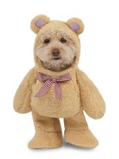 Walking Teddy Bear Pet Costume - XS