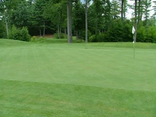 SeedRanch Creeping Bentgrass Seed - 5 Lbs.  (Plants 10,000 Sq.ft.)