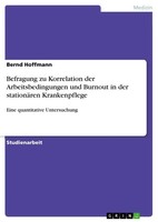 Bernd Hoffmann | Befragung Zu Korrelation Der Arbeitsbedingungen Und Burnout...