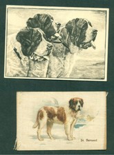ST BERNARD DOG SILK  & ARDATH LARGE DOG STUDY  CIGARETTE CARD